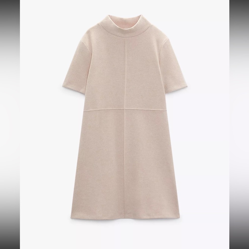 Mini Zara Dress - L